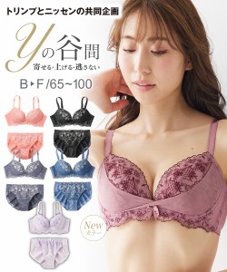 ブラジャー ショーツ セット レディース Yの谷間をつくる ( トリンプ ) グレイッシュブルー〜黒 E70_M〜F80_L ニッセン nissen