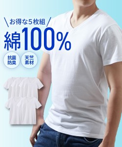 メンズ インナー 肌着 抗菌防臭 加工 綿100％ 天竺 Vネック 半袖 白 5枚組 M/L/LL ニッセン nissen