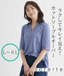 Tシャツ カットソー 大きいサイズ レディース シャツ 見えするサラのびサイドタックスキッパー トップス L/LL/3L/4L/5L ニッセン nissen