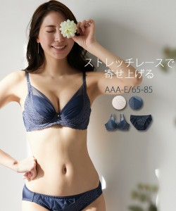 ブラジャー ショーツ セット 大きいサイズ レディース チュール使い  ブラショーツ 女性 インナー パンツ パンティ B85_LL/D85_LL ニッセ