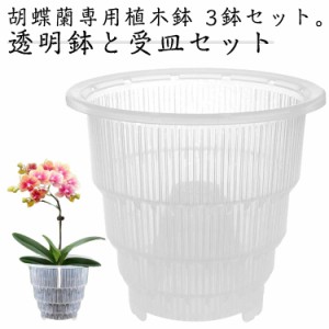 直径15cm 観葉植物の鉢 胡蝶蘭専用 鉢 植木鉢 胡蝶蘭専用 多穴型 通気性抜群 受皿付き 直径10cm 排水穴付き 胡蝶蘭の植え替え 根腐れ防止