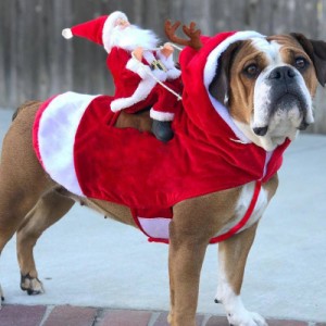 犬服 マリクリスマス プリント 小型犬 記念撮影 サンタクロース おしゃれ かわいい クリスマスグッズ レッド クリスマス用品 個性 大型犬