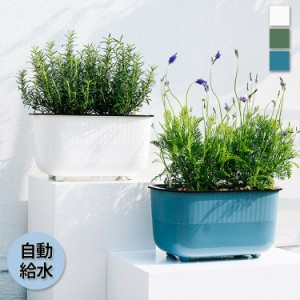 植木鉢 プランター おしゃれ 鉢植え 花 栽培 プレゼント ギフト 母の日 通販 かわいい ガーデニング ホワイト グリーン ブルー清潔感 リ