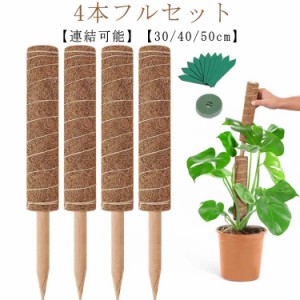  ガーデニング用 ポトス 【4本入り】10点セット 植物支柱 ココナッツ 園芸支柱 延長 観葉植物 モンステラ支柱 モンステラ 植物 支柱 花さ