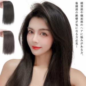 部分ウィッグ 2枚入り ウィッグ ヘアピース サイドばっつん 部分かつら かつら トップピース ポイントウィッグ サイド 髪の毛 前髪ウィッ