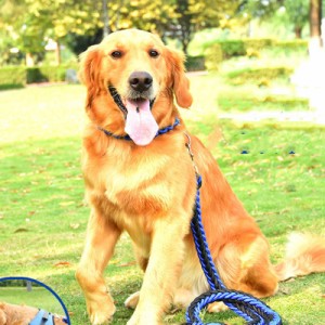 犬 ハーネス 中型犬 大型犬 小型犬 柴犬 ペットハーネス ウェアハーネス 犬用 脱出防止 首輪 リーシュ付き 調整可能 3点セット レッド ブ