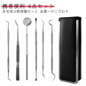 歯垢 送料無料 スケーラー 自宅用 虫歯 歯石とり 自分で取る 歯石取り ヤニとり 器具 先極細 デンタルツール 歯石除去 プロ仕様 口腔ケア