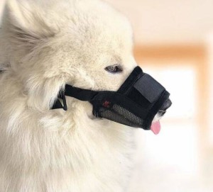 犬のマズル 犬用 口輪 ペット用マズル 無駄吠え防止口輪 拾い食い防止 噛み癖防止 傷舐め防止 噛みつき防止 中小型犬 大型犬 トレーニン