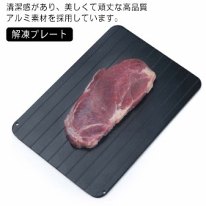 刺身 まな板 解凍板 解凍プレート 自然解凍プレート冷凍食品 解凍ツール 解凍まな板 業務用 急速解凍 業務用家庭用 解凍プレート 食品解