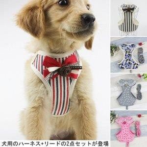 犬服 ハーネスリード ２点セット ドッグウエア 小型犬 ペット服 中型犬 犬用 胴輪 ペット用品 ドッグ服 首輪