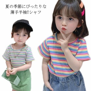 子供服 カットソー 半袖 Tシャツ 半袖Tシャツ 半袖カットソー ボーダーTシャツ 無地 Tシャツ ボーダー柄 薄手 トップス プルオーバー 女