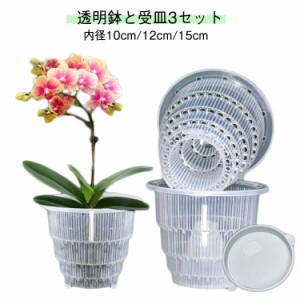 透明鉢と受皿3セット 排水穴付き 胡蝶蘭 直径12cm 胡蝶蘭専用 植木鉢 多穴型 直径15cm 植木鉢 通気性抜群 胡蝶蘭 内径10cm/12cm/15cm プ