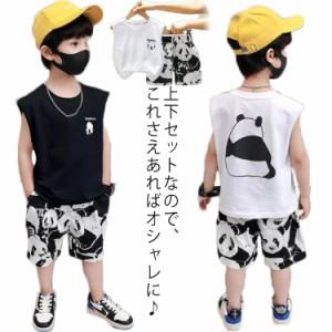 2点セット ベビー キッズ 男の子 セットアップ 夏 子供服 タンクトップ ショートパンツ キッズ 韓国子供服 夏にぴったり 涼しい 上下セッ