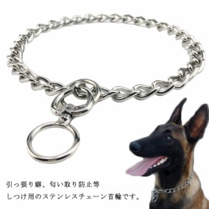 犬 首輪 ステンレス チェーン 引っ張り しつけ用 歩行訓練 トレーニング 簡単装着 中型犬 小型犬 大型犬 ドッグ 訓練用首輪 柴犬 子犬 犬