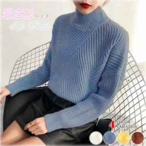★プチタートルセーター