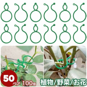 植物 野菜 ホルダー フックリング 4cm 50ペアセット ガーデニング ガーデン 支柱 畑 グリーン / 簡単 プレゼント トレンド 人気