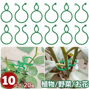 植物 野菜 ホルダー フックリング 4cm 10ペアセット ガーデニング ガーデン 支柱 畑 グリーン / 簡単 プレゼント トレンド 人気