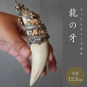 ネックレス 龍の牙 トップのみ ドラゴン 龍 アクセサリー メンズ ジュエリー スタイル お洒落アイテム / 個性的 強面 プレゼント 人気 お