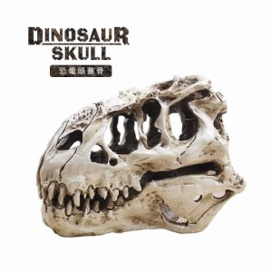 恐竜 ティラノサウルス 頭蓋骨 骨 骨格 模型 頭 置物 おもちゃ バースデー / 遊び おすすめ 人気