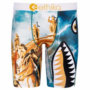 【ネコポス可:2点まで】[MLUS1289] ETHIKA エシカ ボクサーパンツ メンズ アンダーウェア インナー 男性 下着 ブランド おすすめ 人気 プ