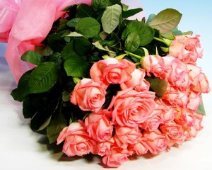 ピンク色のバラ 30本の花束 お買い得 送料無料 花 生花 花束 ブーケ プレゼント ギフト 贈り物 フラワーギフト 誕生日 結婚記念日 お見舞