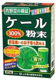 ケール粉末 85g 山本漢方　ケール青汁 ケールの青汁 青汁粉末 クセが少ない 粉末青汁 健康飲料 健康維持 青野菜　※軽減税率対商品