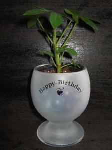 植木鉢 置きの通販 Au Pay マーケット