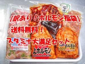 訳あり ホルモン福袋 スタミナアップ大満足セット 肉 バーベキュー 送料無料 焼肉 もつ BBQ