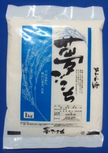 【送料無料お試し米】令和5年産 山形県産 夢ごこち 白米1kg【日時指定不可】