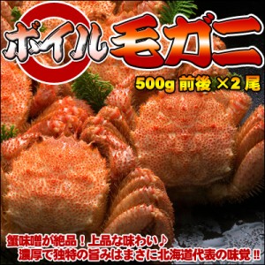 ボイル毛ガニ【大】500g前後×2尾 送料無料 ※沖縄は送料別途加算