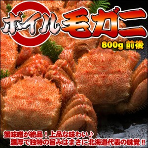 ボイル毛ガニ【超特大】800g前後 送料無料 ※沖縄は送料別途加算