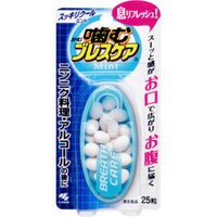 【小林製薬】噛むブレスケア スッキリクールミント（25粒）　清涼成分(メントール、パセリオイル)がお口に広がる息リフレッシュグミ　※