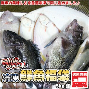 鮮魚を急速冷凍！北海道お魚福袋5kg 送料無料 ※沖縄は送料別途加算