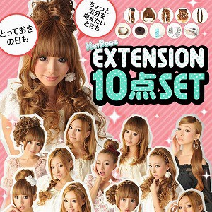 12通りもヘアアレンジが作れちゃうお得なセット MINTPOSHE EXTENSION（エクステ）ウィッグスターター10点セット