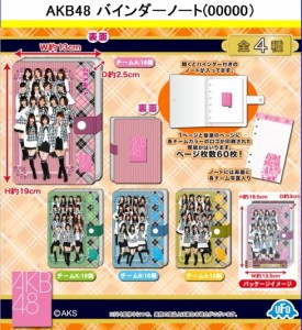 【ＡＫＢグッズ】 大放出 (数量限定) ＡＫＢ48 バインダーノート (全４種) チームＡ チームK チームＢ チーム４