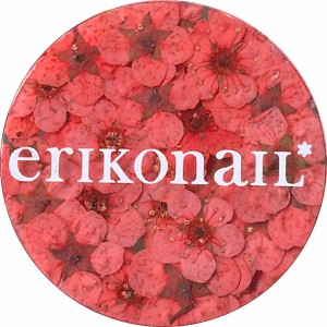 【20%OFF】erikonail 黒崎えり子 ドライフラワー（レッド） ★ジュエリーコレクション (ERI-133) ネイルアート用の押し花♪