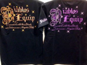 DIABLOS -ディアブロス-  半袖Tシャツ　ペイズリーロゴ ラメ糸刺繍