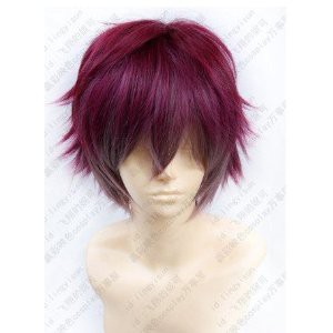 DW251 『DIABOLIK LOVERS -ディアボリックラヴァーズ-』逆巻アヤト　コスプレウィッグ ＋ウイッグネット 