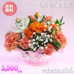 5月誕生花★オレンジアレンジ3,500円【送料無料】ネット特価！