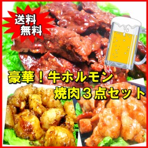 豪華 牛ホルモン焼肉3点セット 肉 バーベキュー 送料無料 焼肉 もつ BBQ