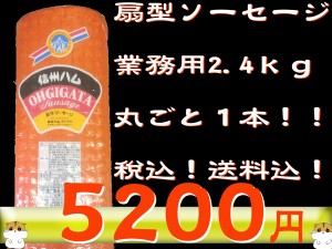 【京都なつかしの味】扇型ソーセージ　2.4ｋｇ/お得/業務用/ソーセージ/送料無料！北海道・沖縄除く