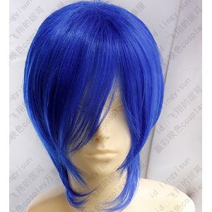 DW200 Vocaloid Bad∞End∞Night カイト　kaito コスプレウィッグ ＋ウイッグネット 