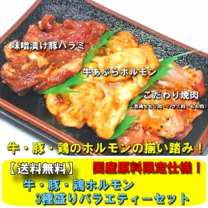 送料無料 牛・豚・鶏国産ホルモン3種盛りバラエティーセット！ 焼肉　バーベキュー　ＢＢＱ