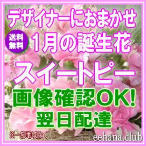 1月誕生花★デザイナーにおまかせフラワー12,000円【送料無料】ネット特価！！ 