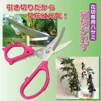 花切専用ハサミ 花切かれず 生け花 花切用ハサミ 花切ハサミ ハサミ 刃物 岐阜県 関市 引き切り 生け花専用 生け花専用ハサミ 生け花用ハ