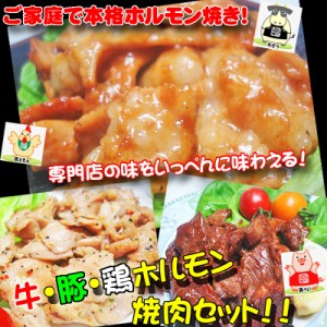 牛 豚 鶏ホルモン焼肉セット 肉 バーベキュー 焼肉 もつ BBQ 専門店の味