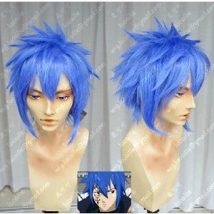 Dw1002 Fairy Tail フェアリーテイル ジェラール 風 コスチューム コスプレウイッグ ウイッグネット の通販はau Pay マーケット ルガーノショップ