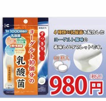 ヨーグルト10個分の乳酸菌 （200mg×62粒） 栄養補助食品！毎日の健康のための健康サプリメントシリーズ！