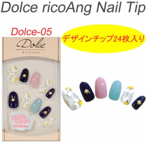 NEW リコアング ドルチェ ネイルチップ　24枚入り☆ricoAng(リコアング)デザインネイルチップ【メール便3個までOK】(Dolce-5)