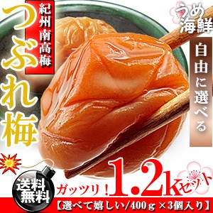 選べてお徳♪紀州 南高梅 つぶれ梅 1.2kg/訳あり/送料無料※北海道、沖縄、離島は1,000円